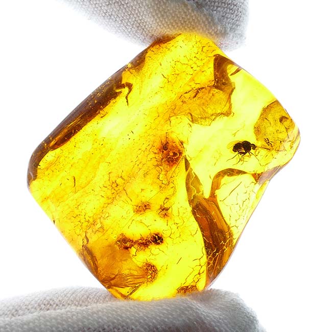 Baltic amber stone with insect inclusion (Mosquito)
