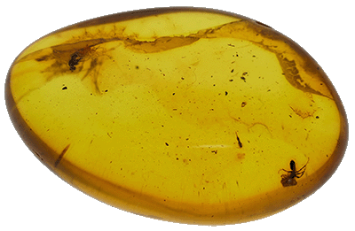 Baltic amber stone